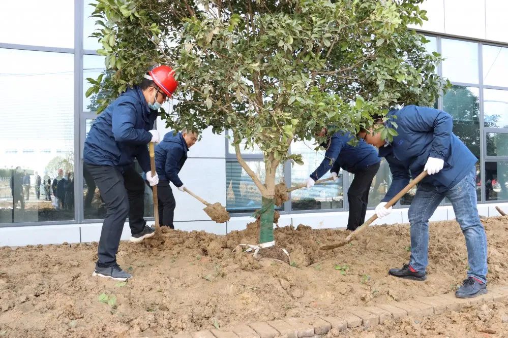 爭做護(hù)綠大使，共創(chuàng)瑞江家園——植樹節(jié)活動(dòng)報(bào)道